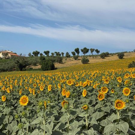 Girasole San Marcello (Ancona) Exterior photo