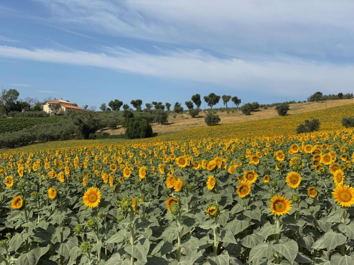 Girasole San Marcello (Ancona) Exterior photo